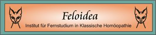 www.feloidea.de Fernstudium für Homöopathie